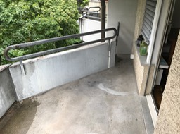 IMG_0720